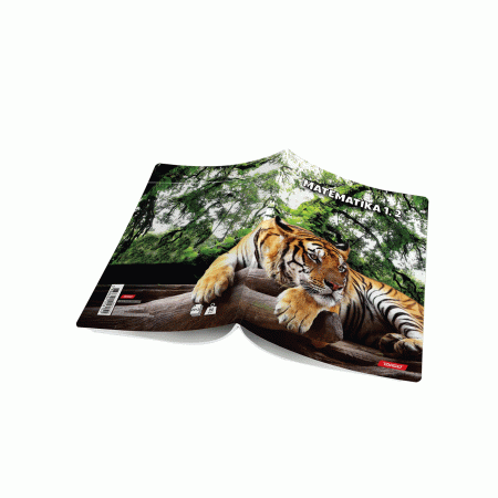 Pisanka Matematika za 1. i 2. razred Target Animals 89506